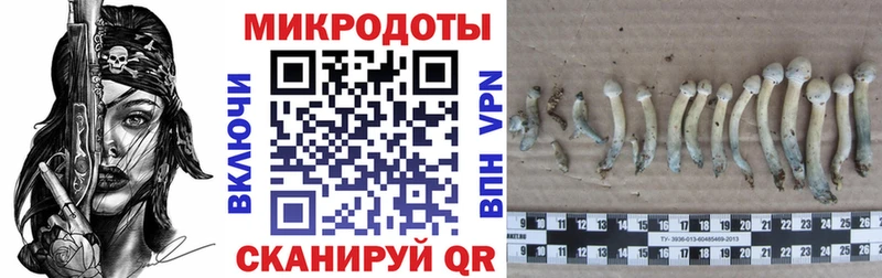 купить наркотик Долгопрудный мега ССЫЛКА Галлюциногенные грибы мухоморы