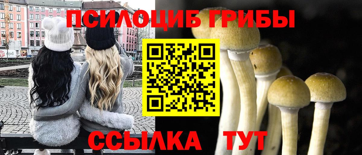 Псилоцибиновые грибы Cubensis Долгопрудный