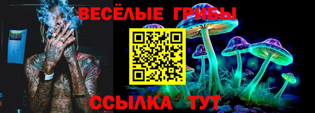 Галлюциногенные грибы Magic Shrooms  Вход с VPN  Долгопрудный  Псилоцибиновые грибы MAGIC MUSHROOMS 